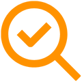 Device Audit